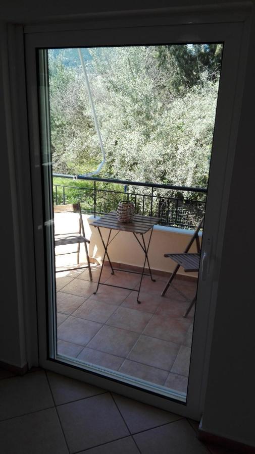Olivo Nydri Apartment Luaran gambar