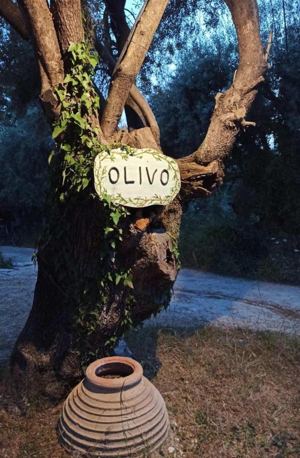 Olivo Nydri Apartment Luaran gambar