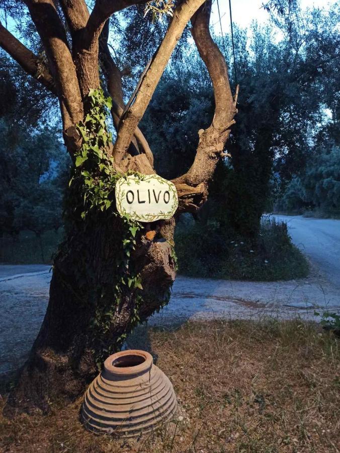 Olivo Nydri Apartment Luaran gambar