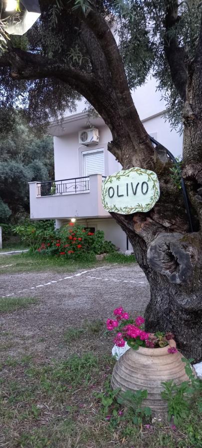 Olivo Nydri Apartment Luaran gambar