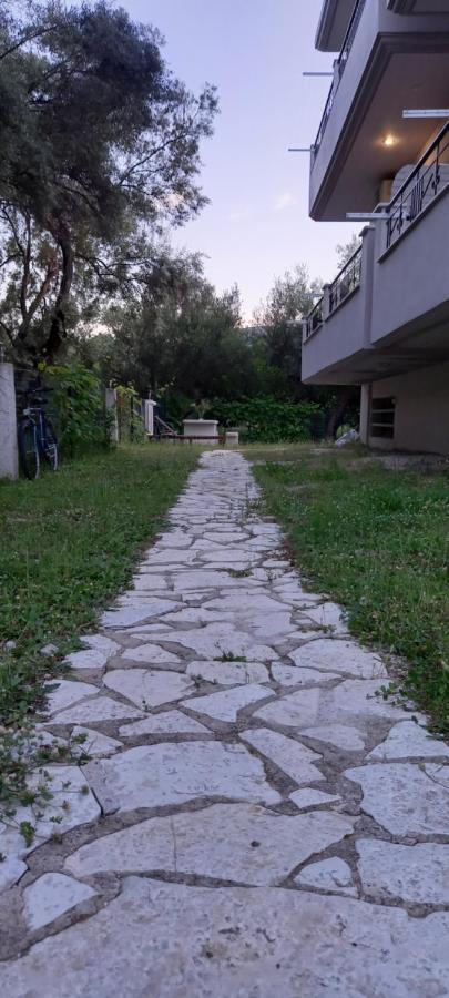 Olivo Nydri Apartment Luaran gambar